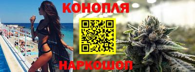 дмт Донской