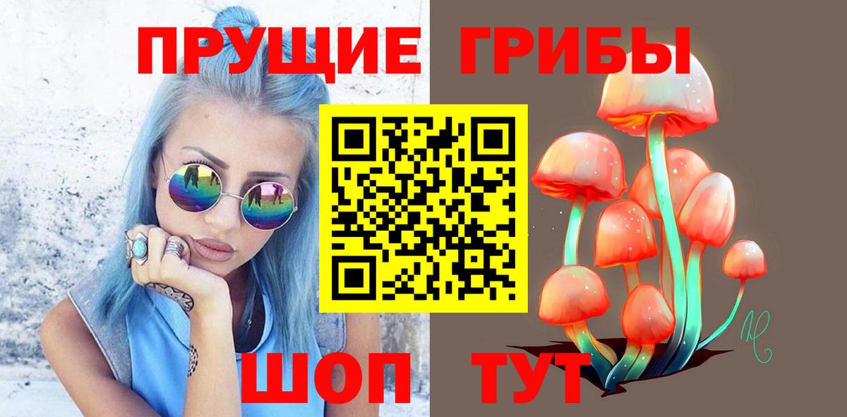 Надым  Галлюциногенные грибы Cubensis  где продают наркотики  Вход с VPN 
